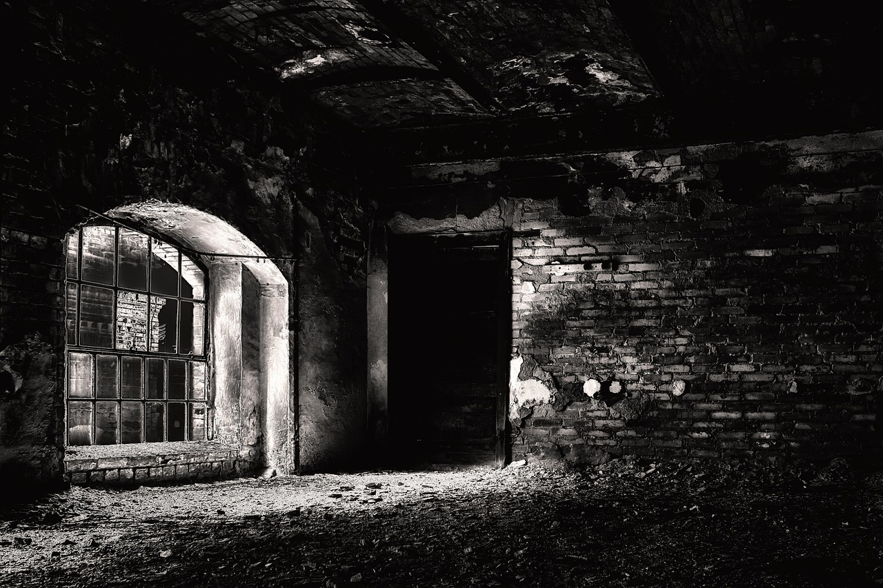 basement, cellar, dark, pforphoto, grim, the atmosphere, mood, mystical, scary, underground, gruesome, darkness, night, horror, the shade, fear, cellar, cellar, cellar, cellar, cellar, horror