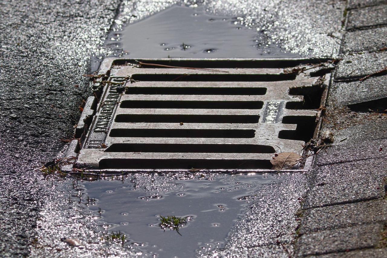 drain, gully, nature, metal, lid, gullideckel, cast iron, paving stones, road, manhole cover, stones, structure, channel, texture, cover, wet, water, rainwater, sequence, gutter, rain gutter, street gutter, reflect