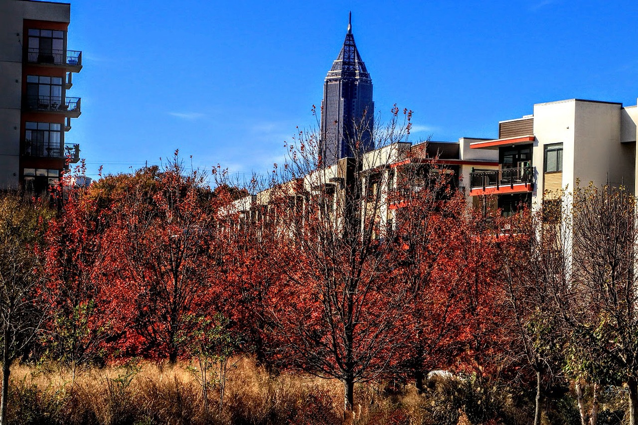 buildings, trees, city, park, skyline, outdoors, urban, atlanta, nature, georgia